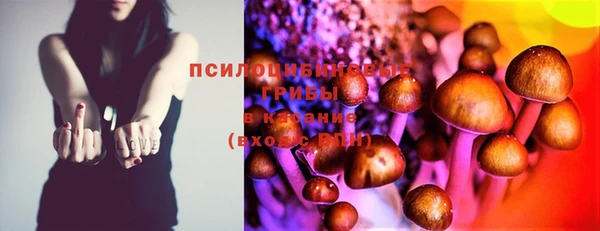 хмурый Краснотурьинск