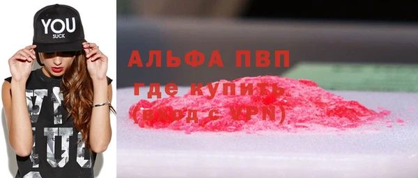 прущие грибы Краснослободск