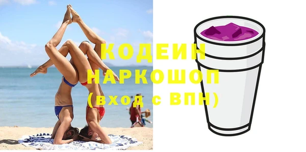 прущие грибы Краснослободск