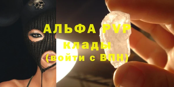 прущие грибы Краснослободск