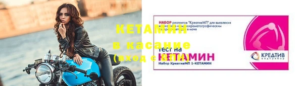 прущие грибы Краснослободск