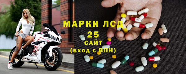 прущие грибы Краснослободск