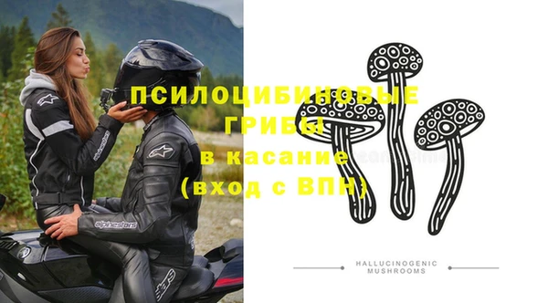 хмурый Краснотурьинск